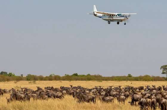 3 days, 2 nights Masai Mara Air Safaris From Mombasa